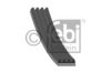 BMW 11287809801 V-Ribbed Belts